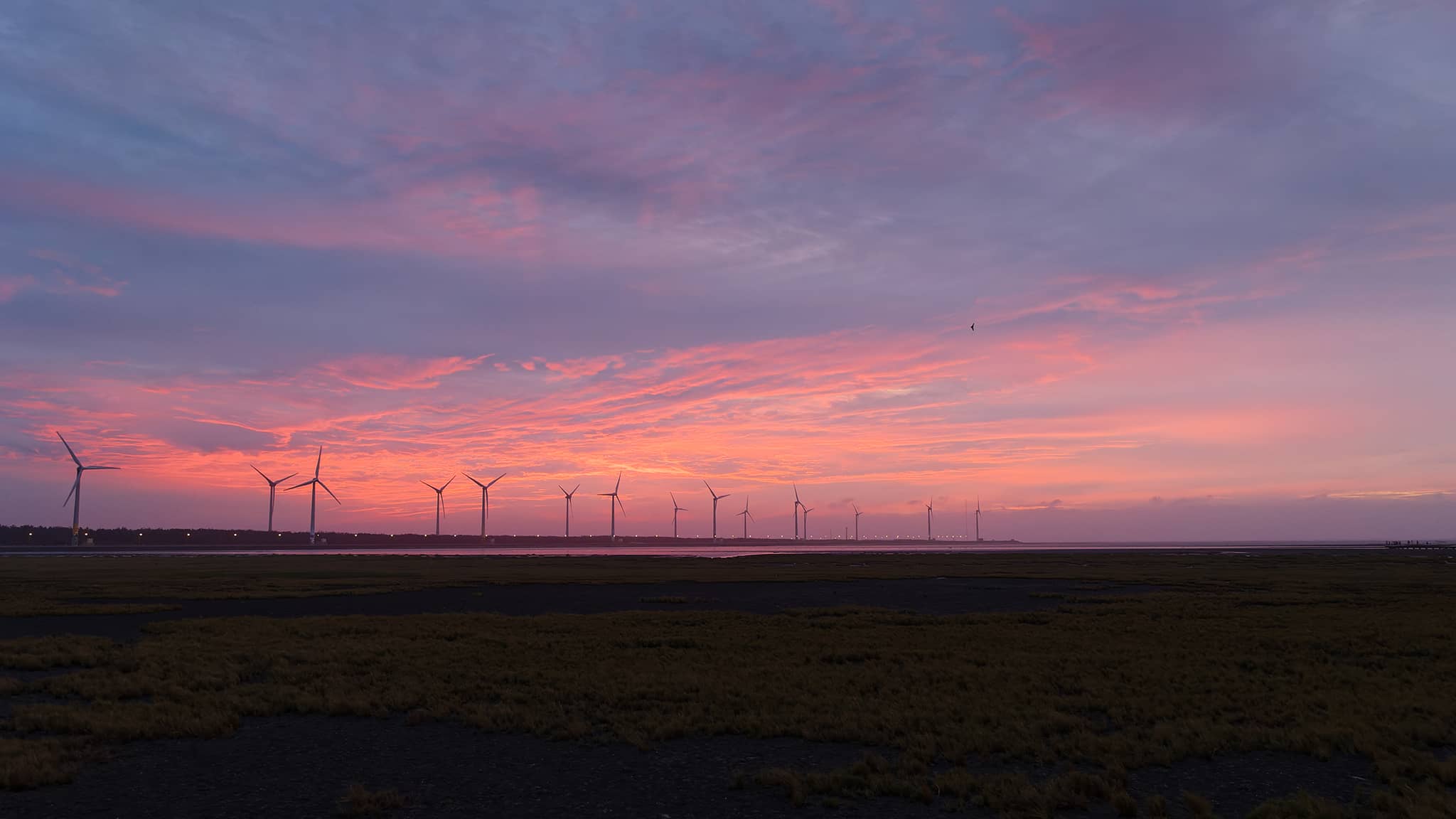 02 - Taichung Est (17) Xiangshan District.jpg